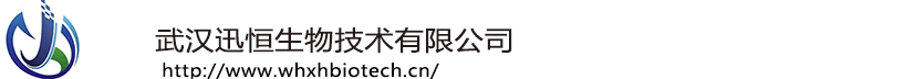 武汉迅恒